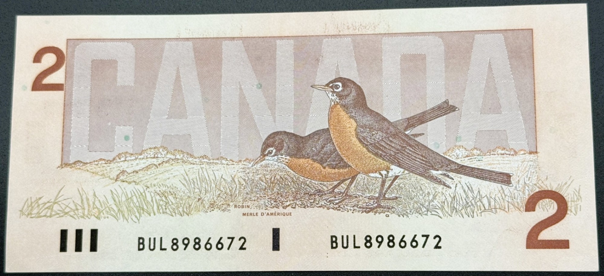 2 DOLLARS 1986 – Image 2