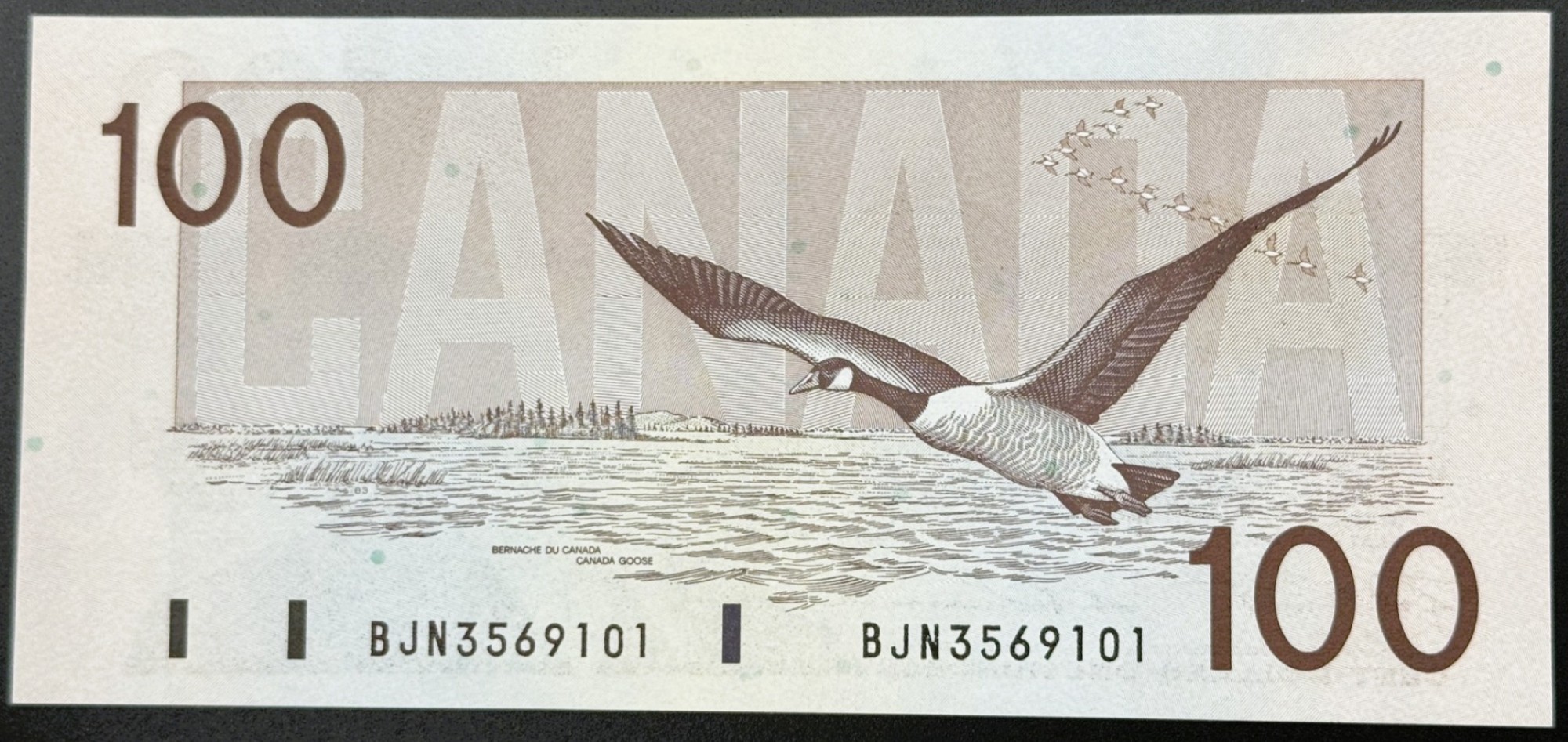 100 DOLLARS 1988 – Image 2