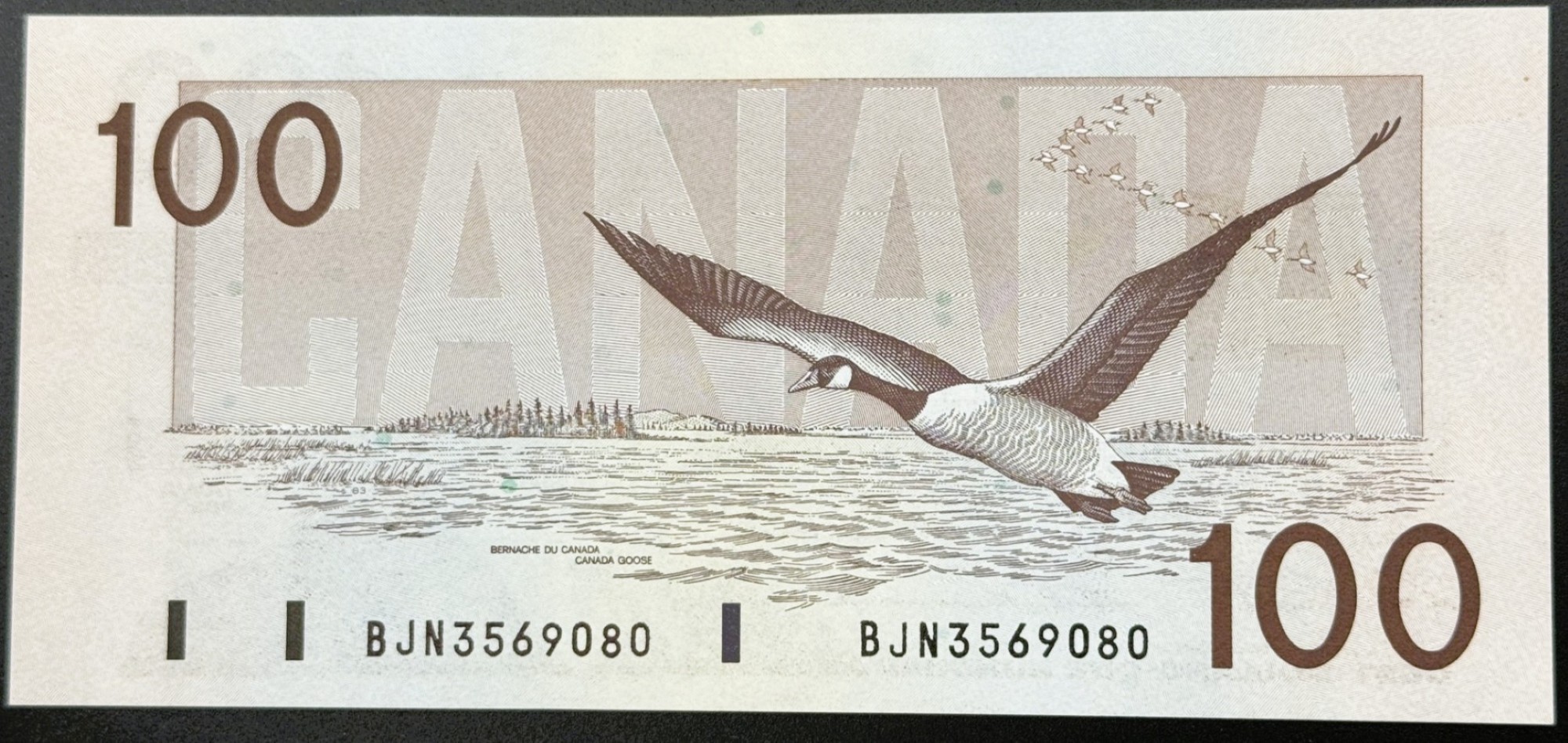 100 DOLLARS 1988 – Image 2
