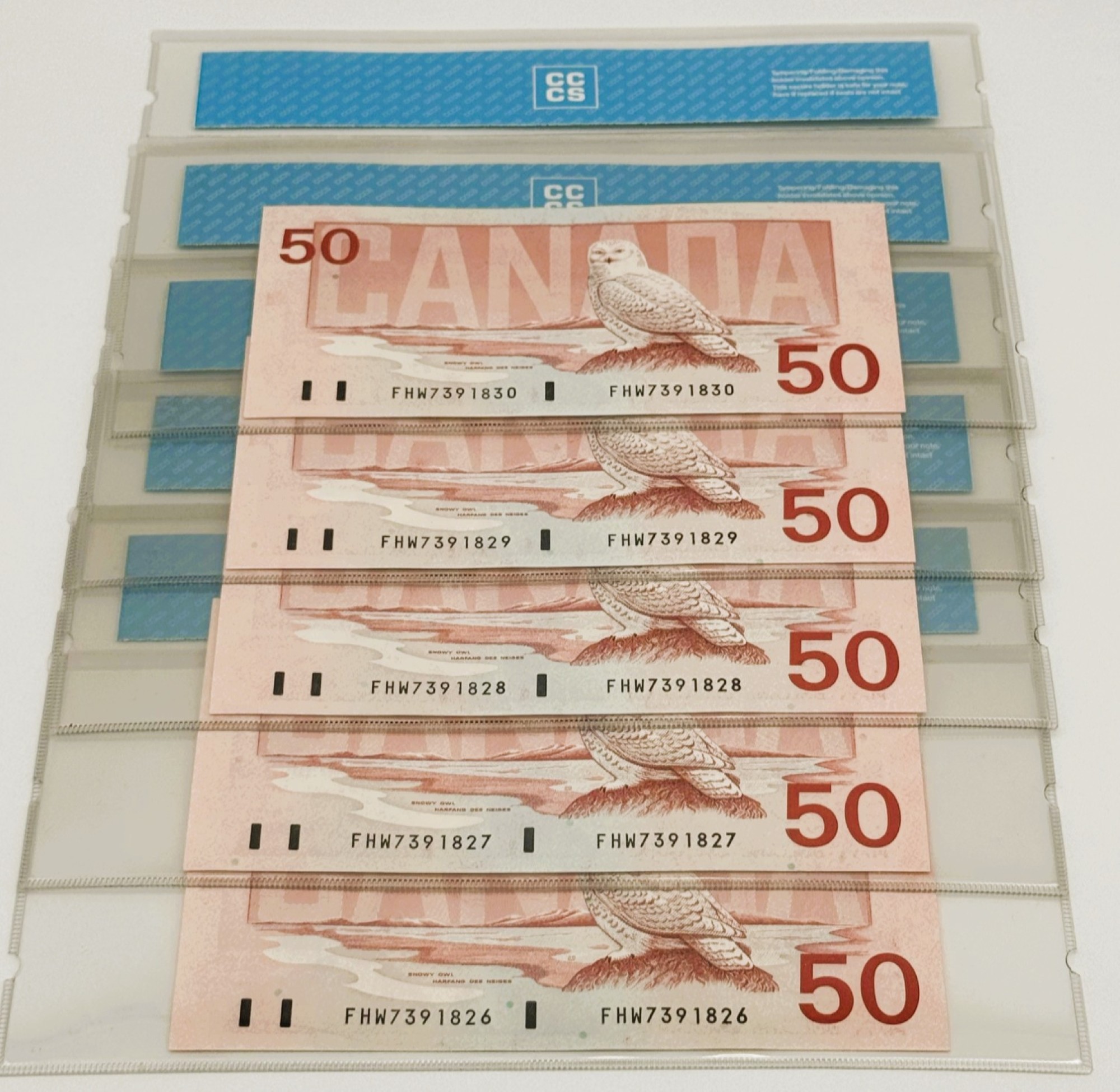 50 DOLLARS 1988 – Image 2