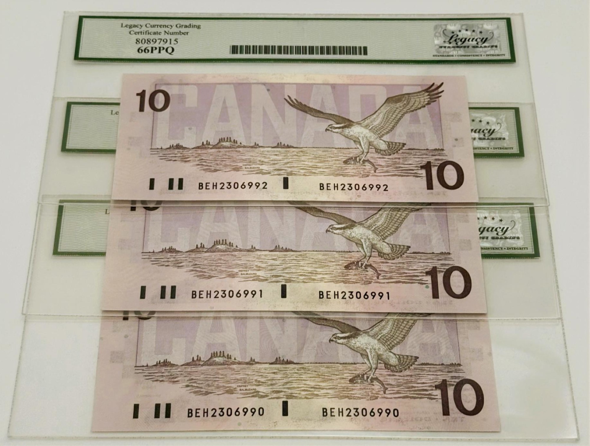 10 DOLLARS 1989 – Image 2